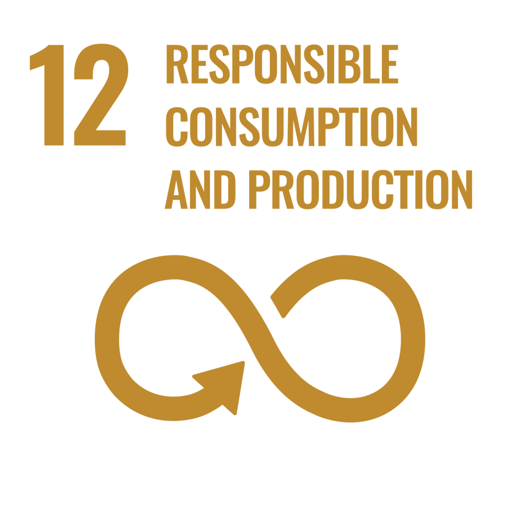 SDG 12. Responsible Consumption and Production